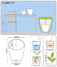 office plants